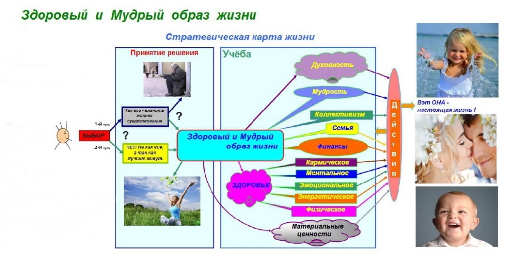 Карта зож заполненная