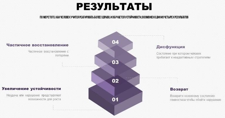 Результаты исследований