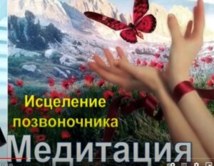 позвоночник